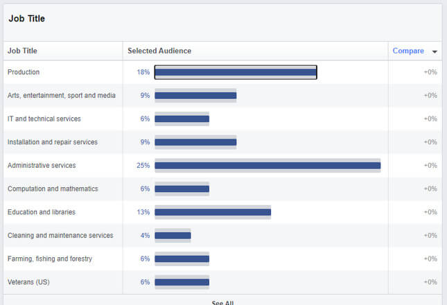 facebook audience insight how to promote your website