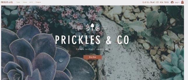 Prickles and Co