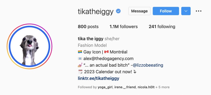 Tikatheiggy Instagram page with 1.1 million followers