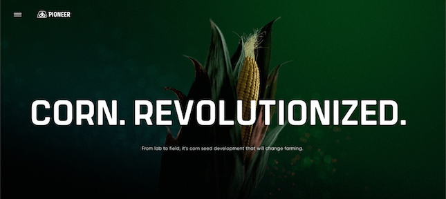Corn Revolutionized