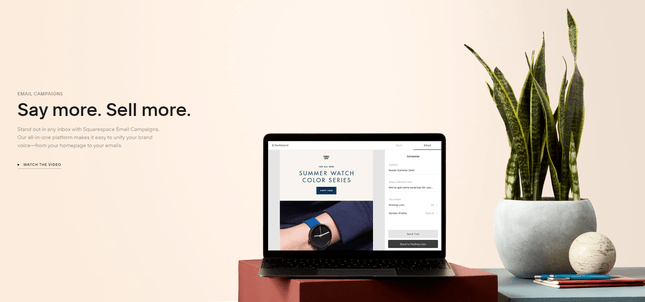 Squarespace email marketing page with a laptop and green plant